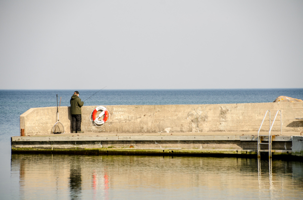 Fiske i Djupviks Hamn